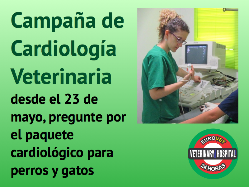 cardiologia veterinaria