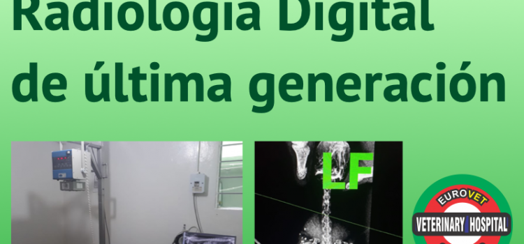 Nuevo servicio de Radiología Digital de última generación