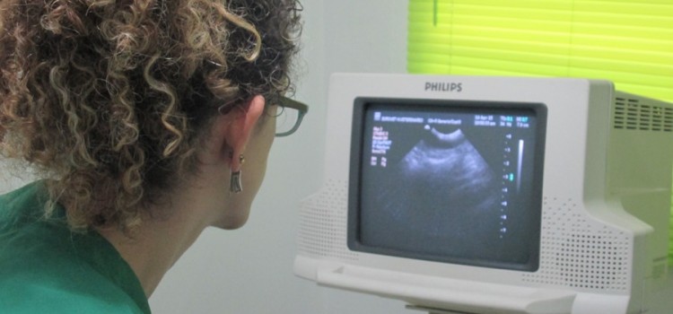 EuroVet, servicios de radiología y ecografía veterinarias en Medellín