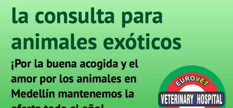 Promoción para consulta de Animales Exóticos todo el año