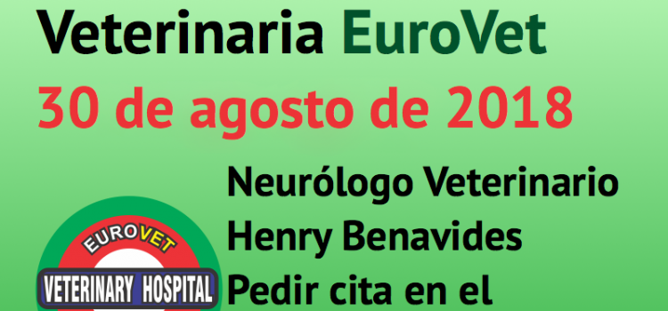 30 de agosto, nueva Jornada de Neurología Veterinaria