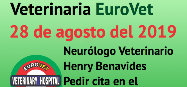 28 de agosto, nueva Jornada de Neurología Veterinaria